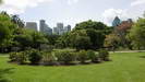BRISBANE - Blick über den botanischen Garten auf Brisbane auf die Skyline von Brisbane
